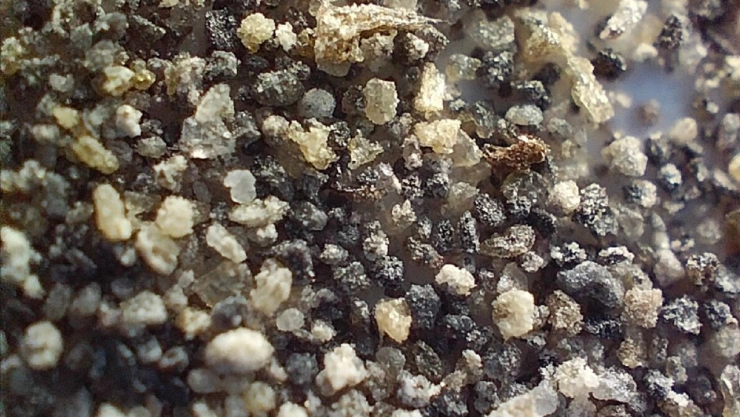 ceniza volcan popo microscopio