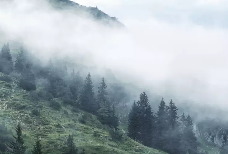 FRENTE FRIO 16 CHIHUAHUA.jpg