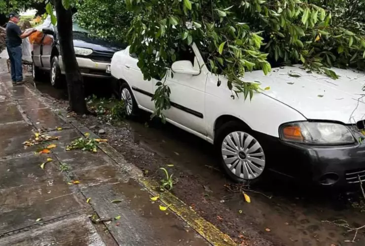 Lluvias en Colima hoy 21 de julio