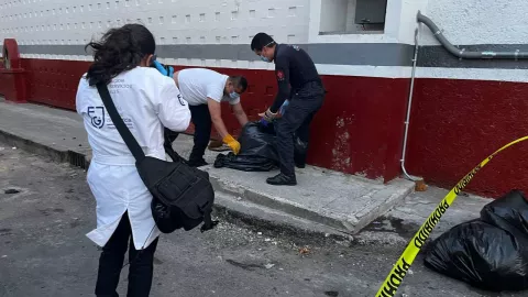 Vecinos encuentran a animales en bolsas G.A.M.