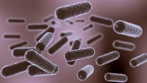 Niño perdió las piernas y los brazos tras contraer una bacteria