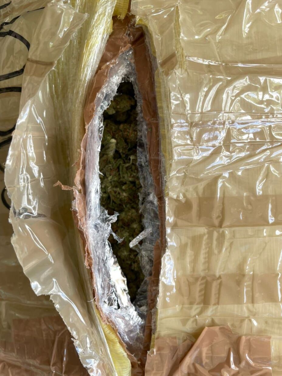 Guardia Nacional Marihuana