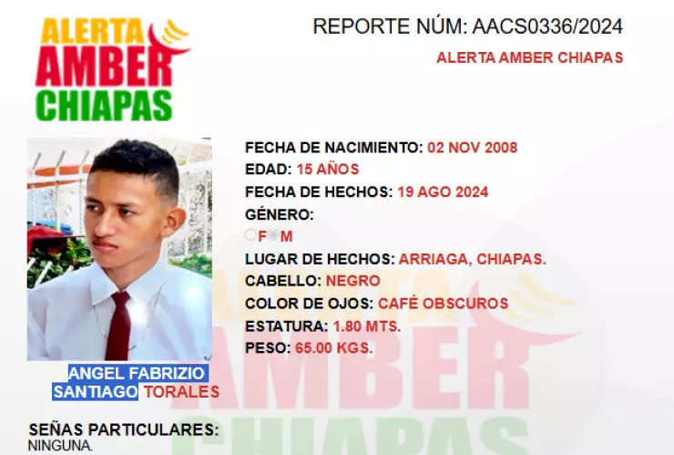 Ángel Fabrizio de 15 años desapareció en Arriaga