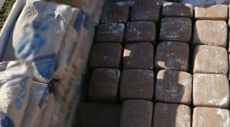 Decomisan marihuana en Yucatán.jpeg