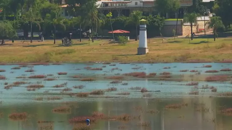 ¿Cuál es el nivel de la presa El Palote hoy 12 de octubre, en León?