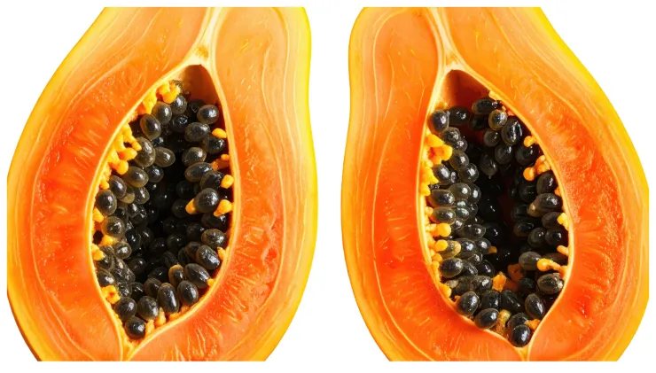 licuados nutritivos con avena y papaya