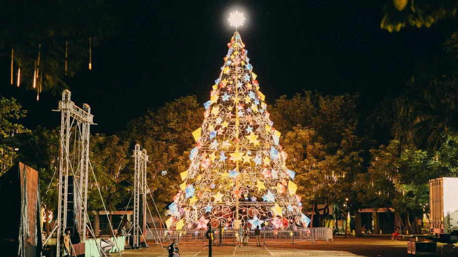Árbol de Navidad.jpg