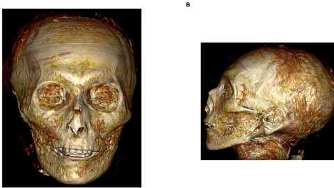 arqueologos momia faraon amenhotep