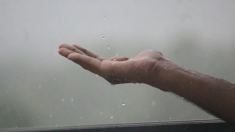 Pronóstico de lluvias en Jalisco 2025.jpg