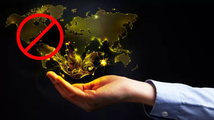 Científicos advierten desaparición de un gran país por baja tasa de natalidad