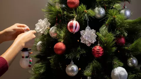 Examinar árbol de navidad