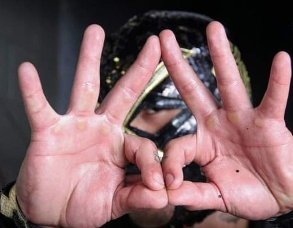 Luchadores de AAA