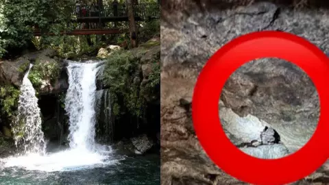 Captan presencia de alux en cenote de Yucatán.