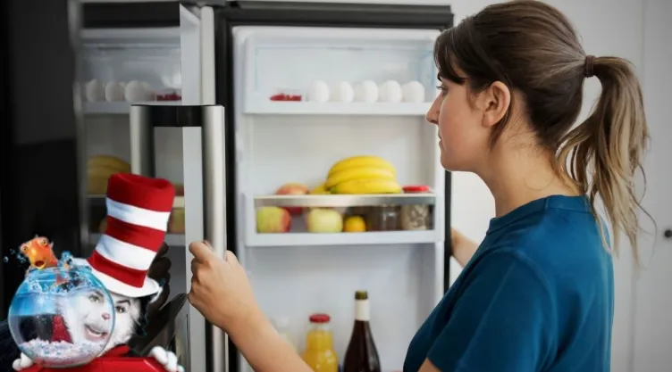 Ideas DIY 5 ideas divertidas para personalizar tu refrigerador con el estilo de El Gato en el Sombrero.jpg