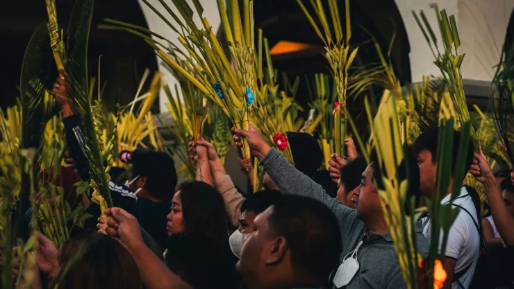 Domingo de Ramos.jpg