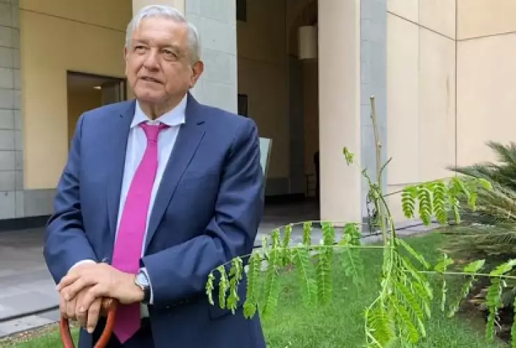 amlo-planta-arboles.jpg
