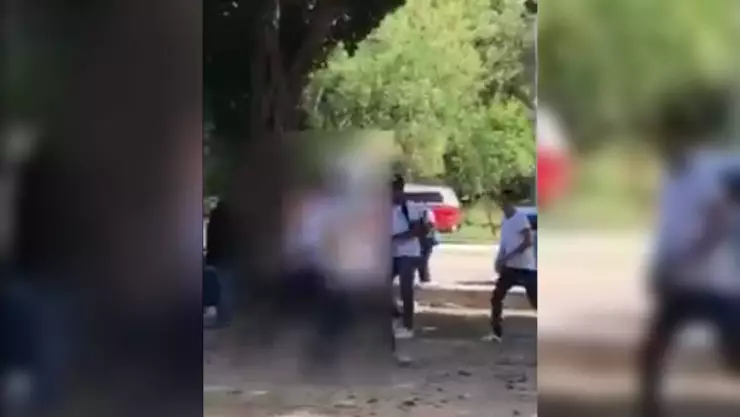 pelea de estudiantes