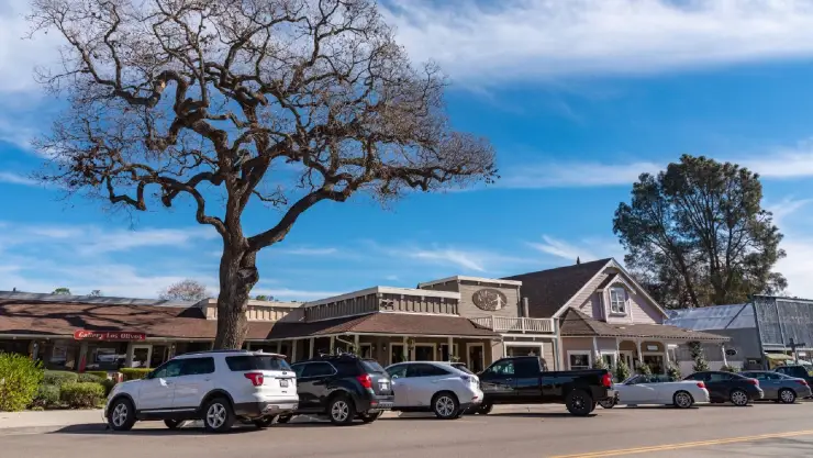 en el corazón del pintoresco Valle de Santa Ynez, se encuentra el encantador pueblo de Los Olivos