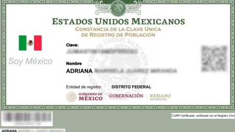 ¿Qué elementos debe tener la CURP certificada 2025 gratis?