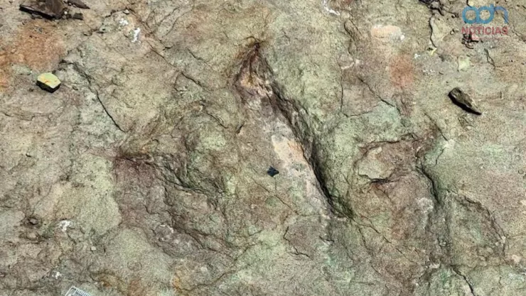Huellas de dinosaurios