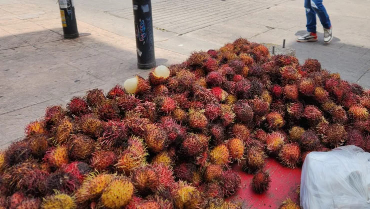 Rambután