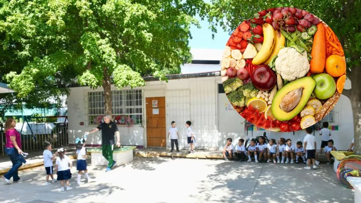 Prohibirán chatarra en escuelas