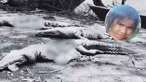 VIDEO | Hallan cuerpo de una niña dentro del estómago de un cocodrilo en Guatemala