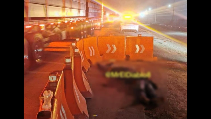 Abandonan cuerpos de presuntos asaltantes en la México-Querétaro