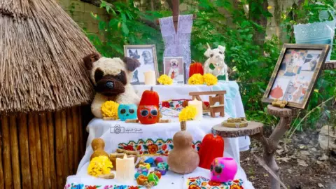 Día de Muertos_ ¿Cuándo se coloca el altar de muertos para perros y gatos¡?