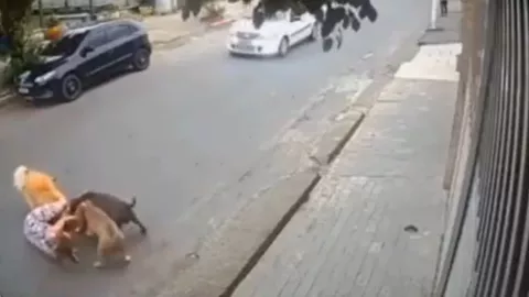 Texto del párrafo - 2025-05-07T094004.831.jpg