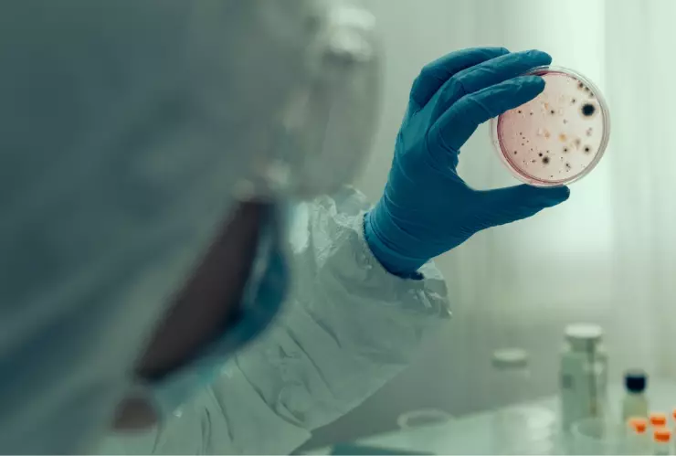 OMS alerta a la población por fuerte aumento de contagios por cólera