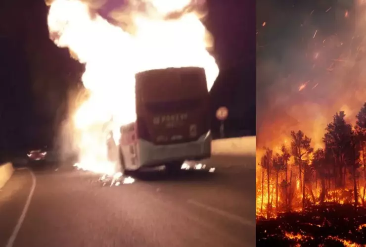 Nuevo ataque incendiario reivindica la causa mapuche