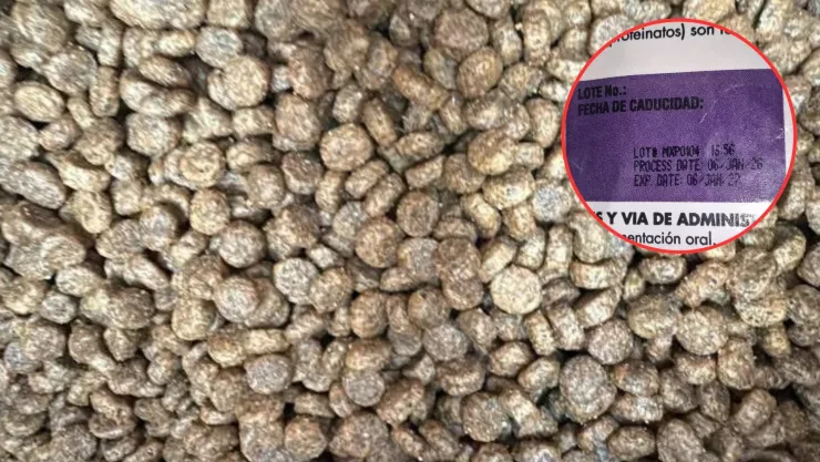 ¿Qué se sabe de las croquetas para gato contaminadas de importante tienda por mayoreo?