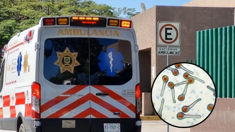 Tétanos en Yucatán: Reportan primer caso tras más de dos décadas sin ausencia