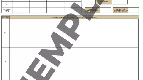 Así puedes DESCARGAR la boleta de calificaciones 2024 - 2025 para primarias en Yucatán; desde esta fecha estará DISPONIBLE