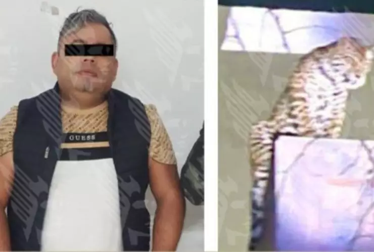 Operativo por presencia de jaguar termina en balacera en Puebla