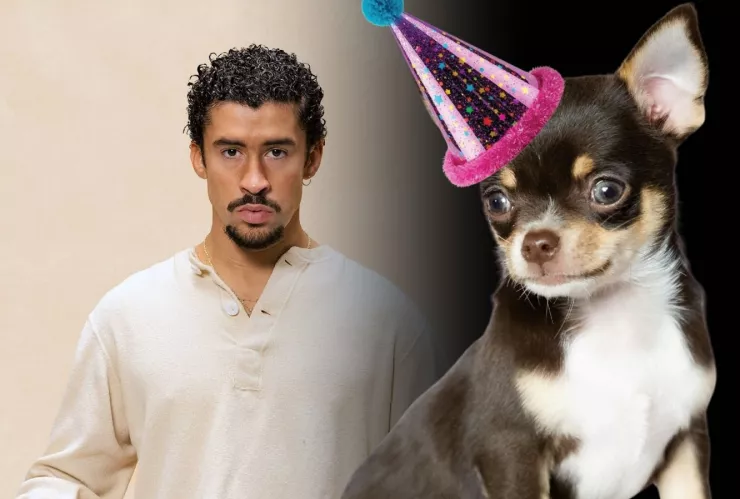 Perrito celebra su cumpleaños con fiesta temática de Bad Bunny y se vuelve viral en México