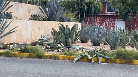 Accidente en Tehuacán: Conductor se estrella en monumento