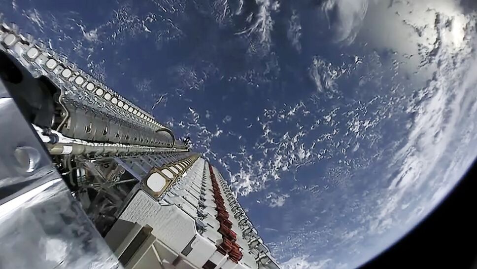 Starlink, antenas, gatos 2.jpg