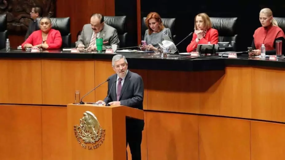 Juan Ramón de la Fuente en el Senado