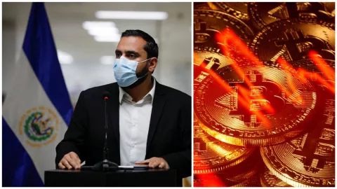 FMI El Salvador bitcóin moneda de curso legal