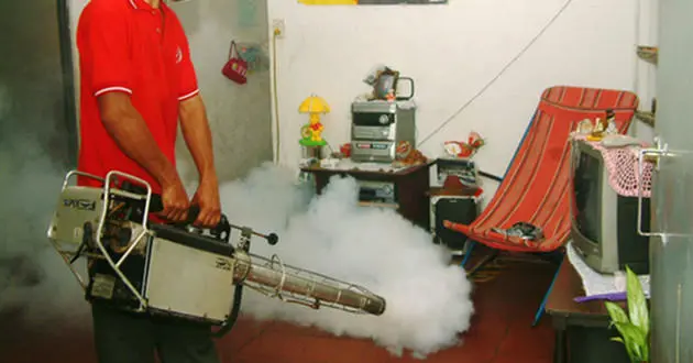 dengue