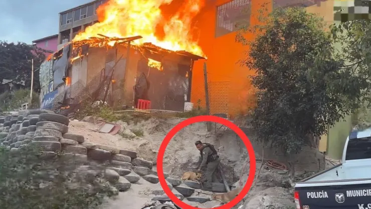 Incendio en Camino Verde: oficiales liberan a dos perros atrapados por el fuego