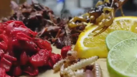 carne exótica CDMX venta