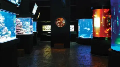 Acuario Interactivo en Cancún