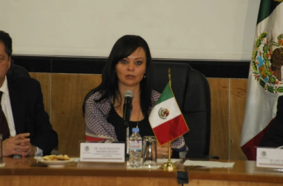 Nuvia Mayorga, diputada federal del PRI con licencia