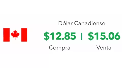 Precio del dólar hoy 23 de octubre 2024 en México: ¿Cuál es su última cotización?