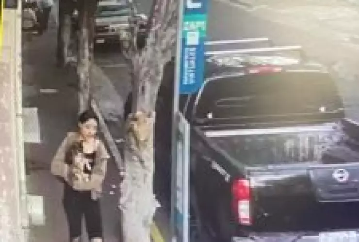 África Montserrat Jalisco