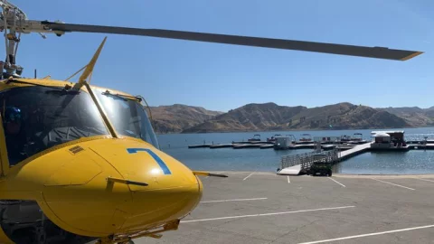 EcgESi7WsAUFPL_.jfif