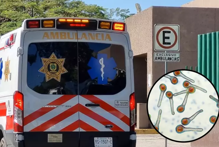 Tétanos en Yucatán: Reportan primer caso tras más de dos décadas sin ausencia